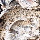 cropped-Dry-Rot-Specialists.jpeg