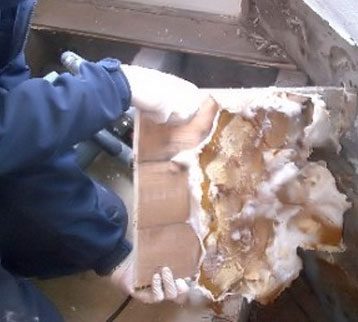 cropped-how-we-treat-dry-rot.jpg